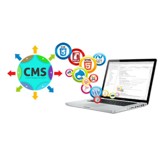 CMS Services